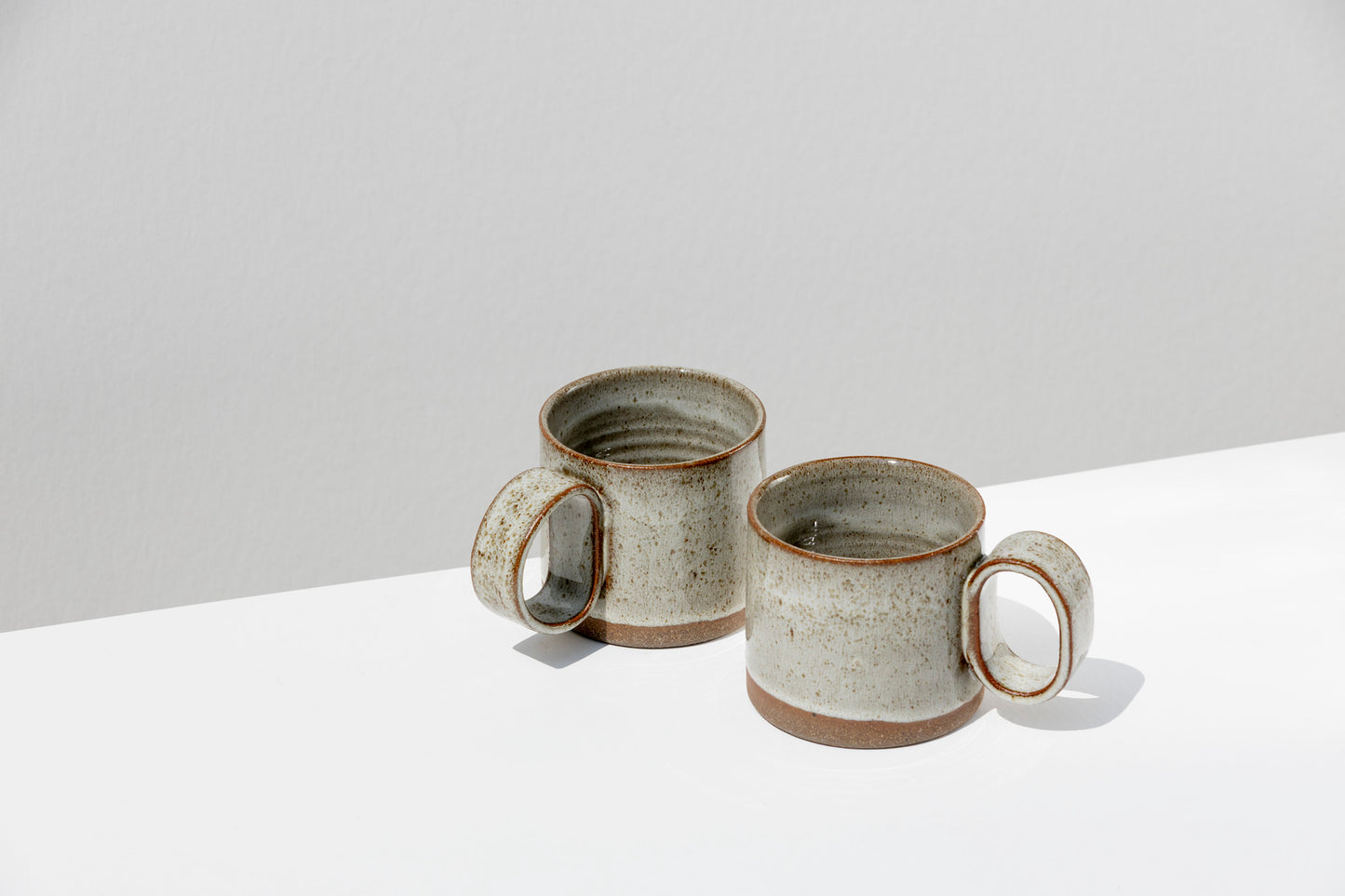 Set of 2 Speckled Stoneware Mugs